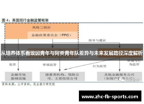 从培养体系看埃因青年与阿贾青年队差异与未来发展路径深度解析 从培养体系看埃因青年与阿贾青年队差异与未来发展路径深度解析