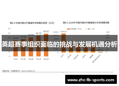 英超赛事组织面临的挑战与发展机遇分析